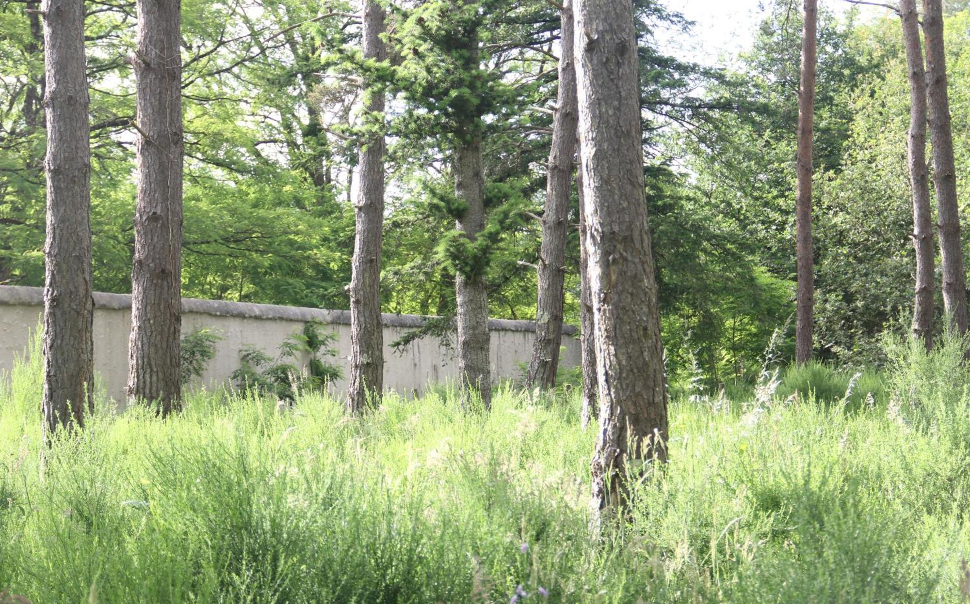 Le Refuge De Chambord Villa Thoury Eksteriør billede